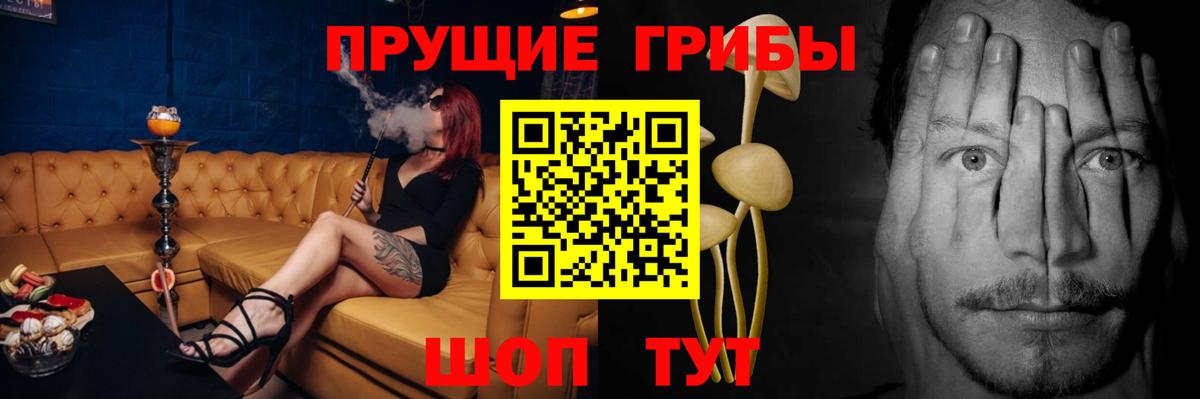 Галлюциногенные грибы Cubensis Ивантеевка