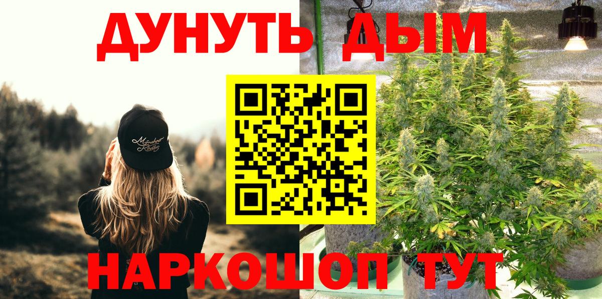 Конопля сатива Ивантеевка